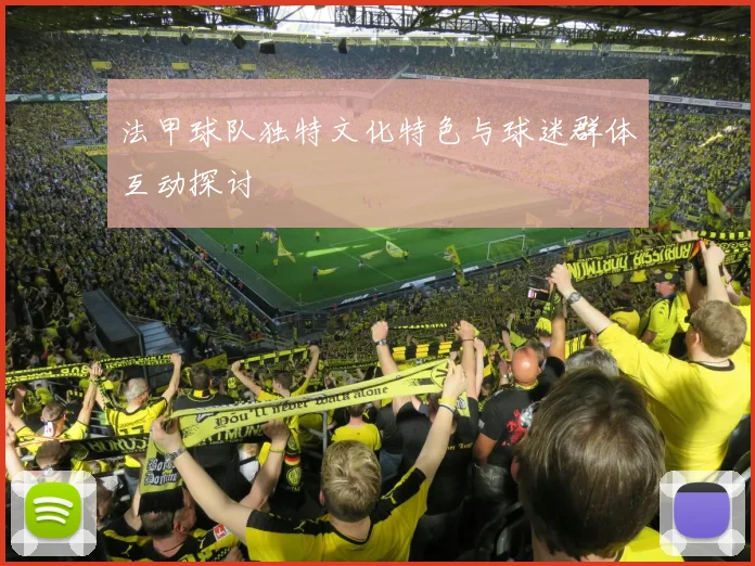 法甲球队独特文化特色与球迷群体互动探讨