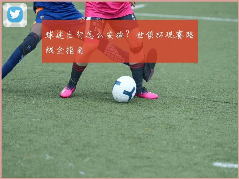 球迷出行怎么安排？世俱杯观赛路线全指南