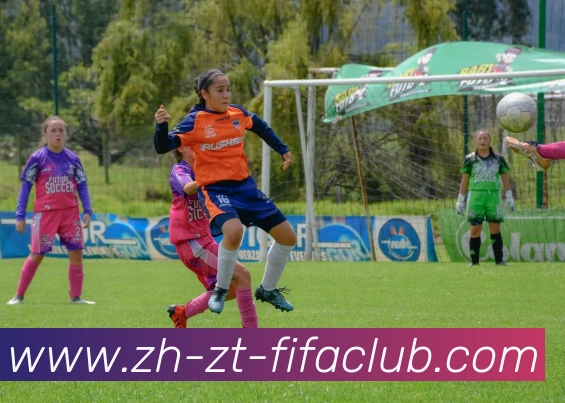 火箭队2005年球员名单回顾及球队变化解析